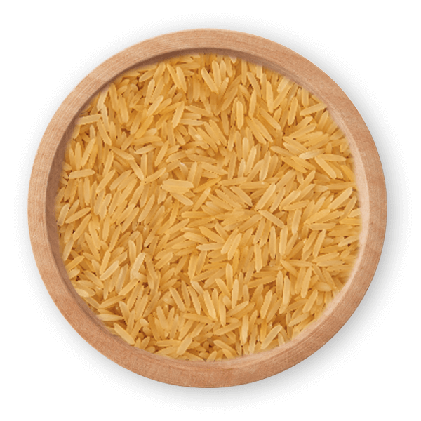 SUGANDHA GOLDEN SELLA RICE